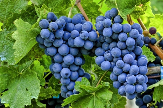 709620 (a): :2400x1600